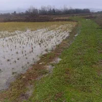 15000-هزار-متر-کشاورزی-تسطیح-نشده