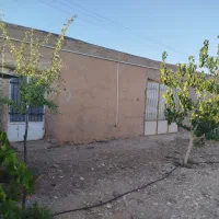 باغ انبار گلخانه بهترین جای بسطام با همه انشعابات