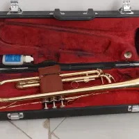 شیپور