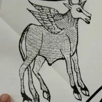 طالع بینی|کتاب و مجله ادبی|کرج, فاز ۳ مهرشهر|دیوار