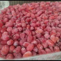 زرشک تازه دانه شده با دست بدون دم و برگ کیلو ۲۲۰|خوردنی و آشامیدنی|تهران, ترمینال جنوب|دیوار