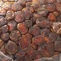 خرمای تازه تمیز و شسته شده و بسته بندی شده