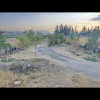 باغ بر اتوبان سر راه شاهسوند
