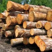 خرید ضایعات چوب