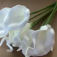 پخش انواع گل طبیعی و مصنوعی به قیمت عمده نقد و چکی