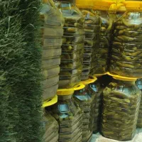 خیارشورویژه