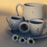 ظروف سرامیکی