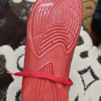 کفش کشتی|کیف، کفش، کمربند|نقده, |دیوار