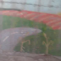 پرستار خانم