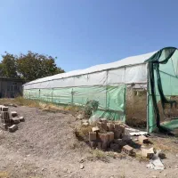 گلخانه 2000متری در خسروشاه|فروش دفتر صنعتی، کشاورزی، تجاری|خسروشاه, |دیوار