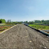 فروش زمین ۲۴۳ متری در خالو باغ