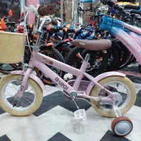 دوچرخه 12 دخترانه خاص (غلامی خیابان امام خمینی41)