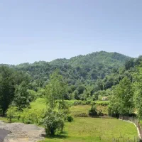 اجاره ویلا جنگلی کلاب