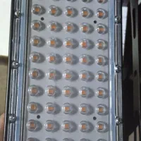 لامپ مخصوص رشد گیاه