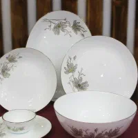 سرویس غذا خوری
