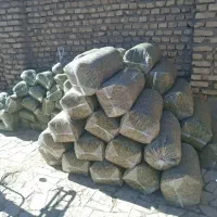 ذرت علوفه ای