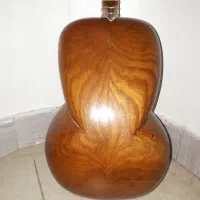 تار قدیمی|سازهای سنتی|نسیم‌شهر, |دیوار