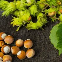 باغ ویلا نغندر طرقبه