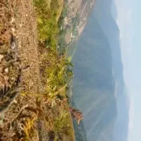 خانه ویلایی دوبلکس روستایی زیبا|فروش خانه و ویلا|رشت, گلسار|دیوار