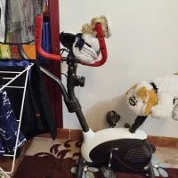 دوچرخه ثابت