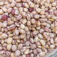 قرمز. چیتی|خوردنی و آشامیدنی|قم, شهرک فاطمیه|دیوار