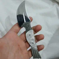 چاقو طرح عقابی