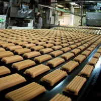 کارخانه مواد غذایی|استخدام صنعتی، فنی، مهندسی|اردبیل, |دیوار