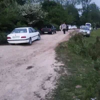 نیاز فوری به تعدادی ماشین مدل بالاجهت کار در آژانس