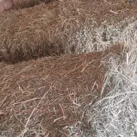 ۸خروار پرس یونجه چین ۳