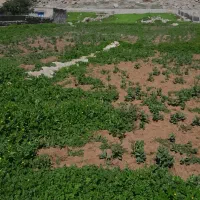 زمین روستایی طرح هادی
