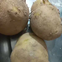 محصولات کشاورزی