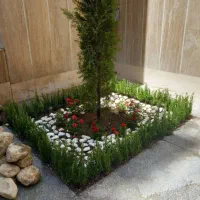 باغبانی تعویض خاک گلدون هرس باغچه در محل شما|خدمات باغبانی و درختکاری|تهران, سهروردی|دیوار