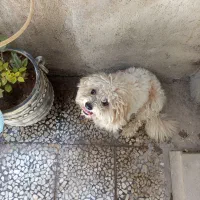 لطفاً کمک کنید