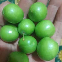 الوچه|خوردنی و آشامیدنی|اصفهان, دهنو|دیوار