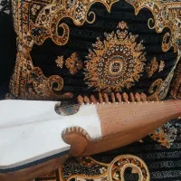 رباب|سازهای سنتی|باقرشهر, |دیوار