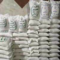 برنج فجر خوش پخت گرگان