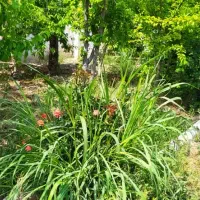 باغ-ویلا-1335متری-دهشاد-شهریار