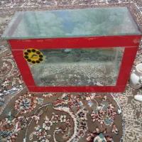 آکواریوم|ماهی|سقز, |دیوار