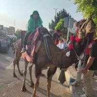 شتر فروشی