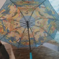 چتر|کوهنوردی و کمپینگ|زیرکوه, |دیوار