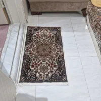 پادری فرش ۷۰۰ شانه ۲ عدد نونو