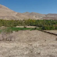 ۵۰۰ متر تنگه واشی|فروش دفتر صنعتی، کشاورزی، تجاری|فیروزکوه, |دیوار