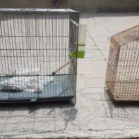 قفس پرنده