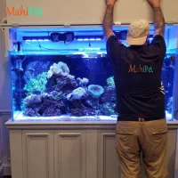 نظافت آکواریوم