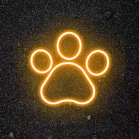 آموزش سگ در محل شما