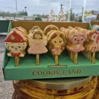 جذب بازاریاب درامدبالا