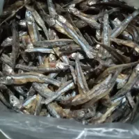 ماهی خشک (متو)