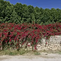 مشاور زیبایی و کارشناس فروش