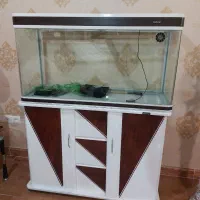 آکواریوم شرکتی ماهیران با تمامی وسایل|ماهی|کرمانشاه, |دیوار