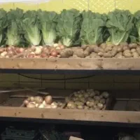 طبق تره بارکاملن سالم